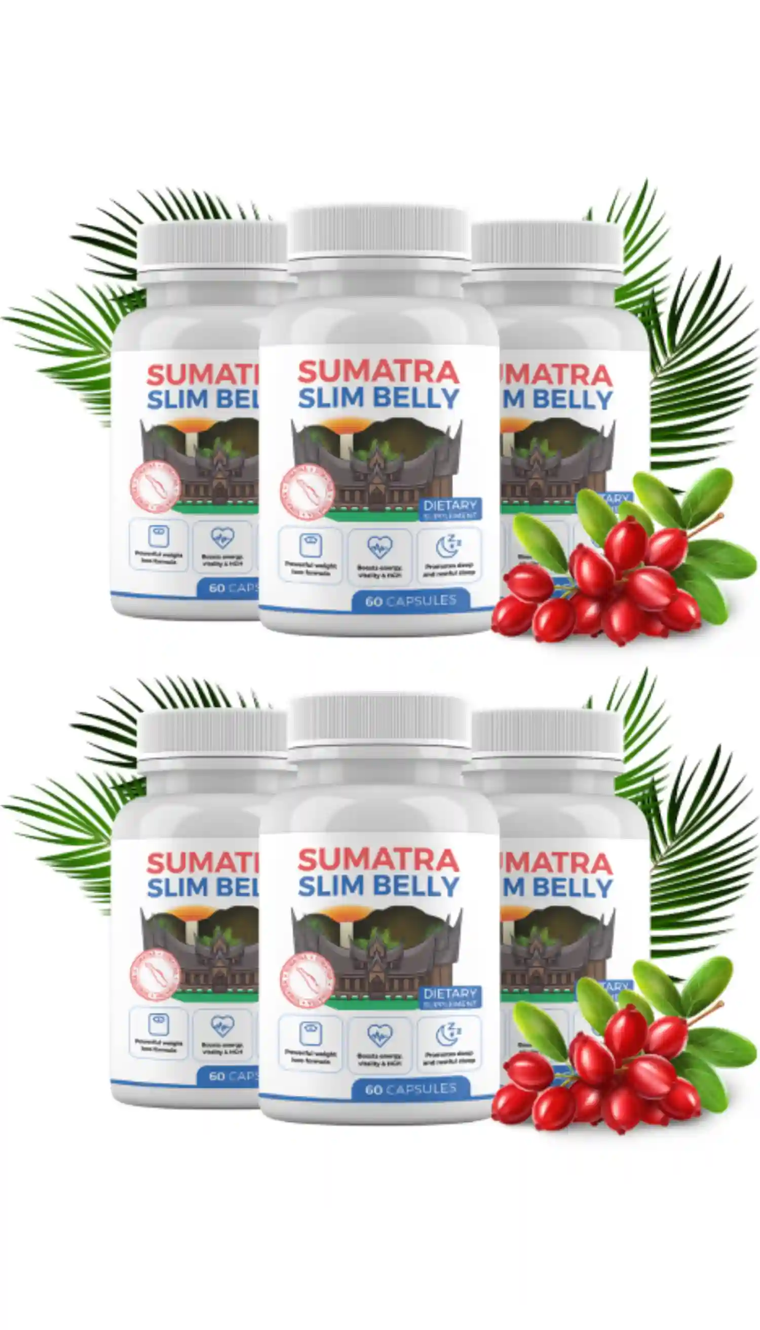 sumatra tonic support weight management